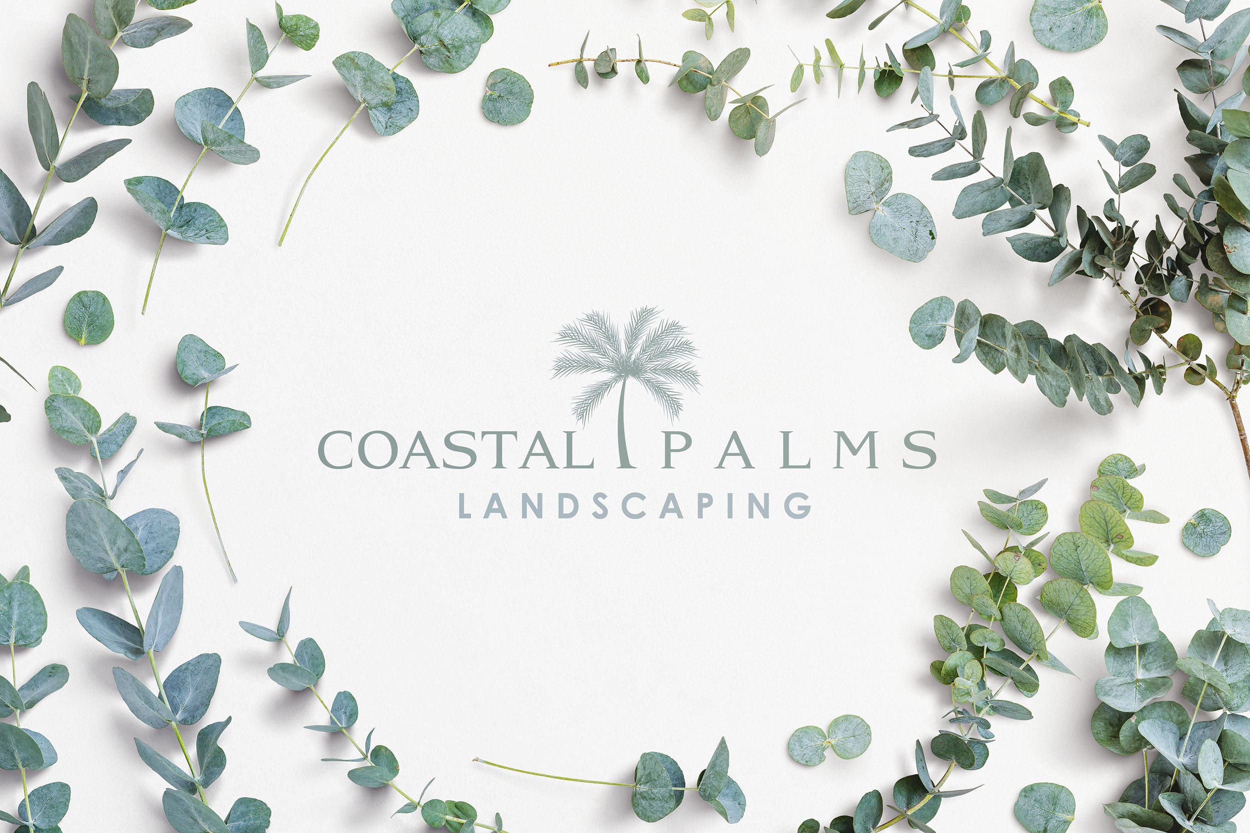 Coastal Palms Landscaping logo framed by eucalyptus greenery on a light background